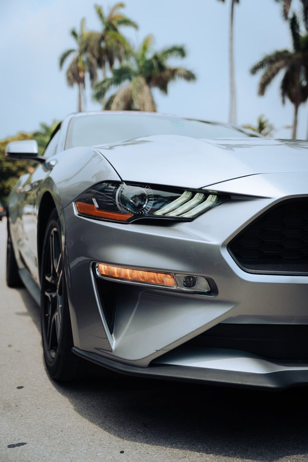 Ford Mustang gris de frente