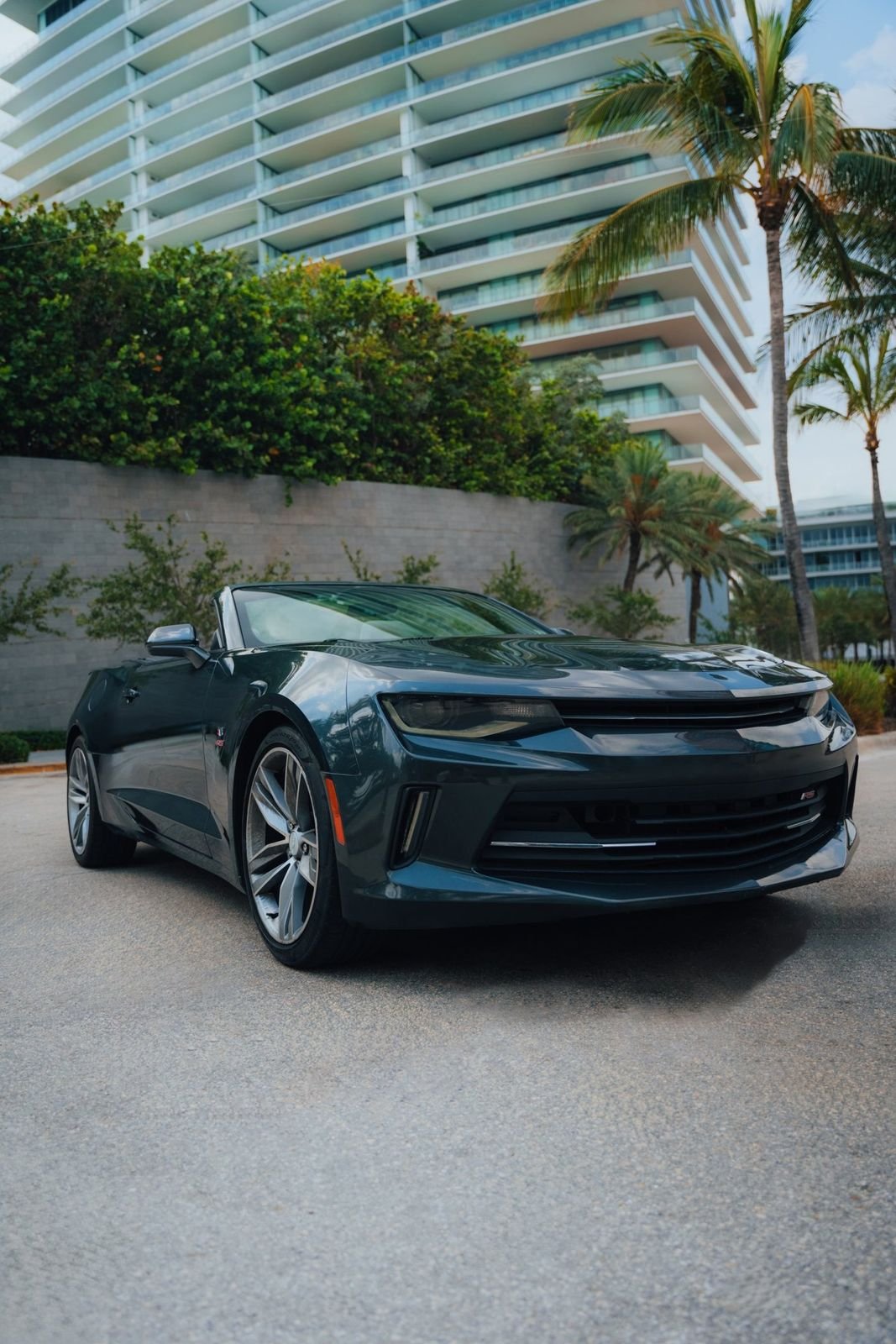 Chevrolet Camaro convertible entre palmeras